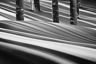 Winter Shadows