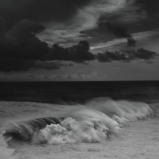 Mare (102)