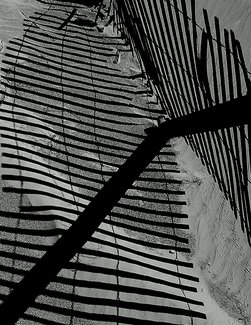 Fence