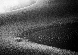 Untitled (1)