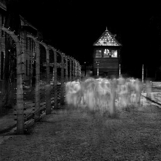Auschwitz No. 14