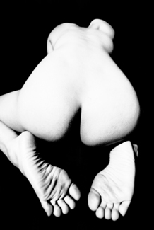 Metamorphosis