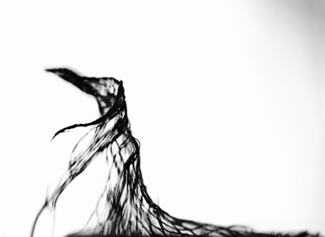 Untitled Filament (15)