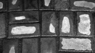 Wet & Dry Bricks