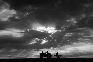 Homeward