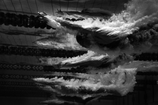 Swimmers