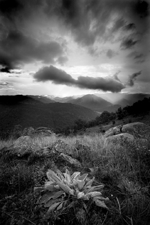 Approaching Storm I
