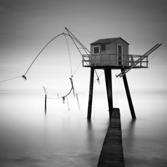 Fishing Dreams