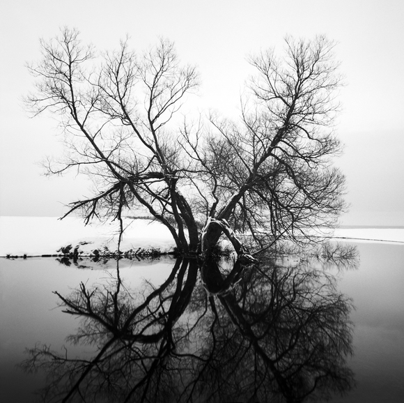 By the Water, II