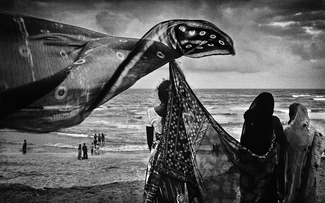 Free as the Wind: a Ritual in the <br />Worship of Krishna