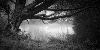 Late Autumn