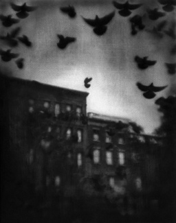Greenwich Village