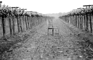 Heard it Through the Grapevine
