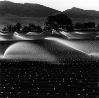 Sprinklers and Farmland