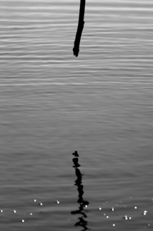Reflections