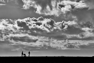 Family Stroll