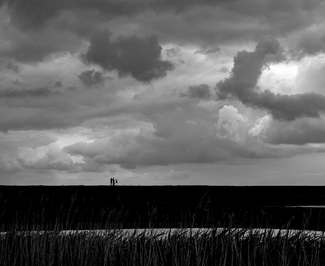 Birders in the Storm