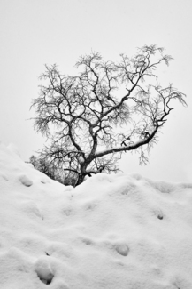 Last snow