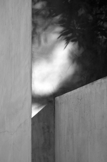Wall Shadows