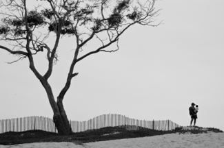 Beachfront Tableau