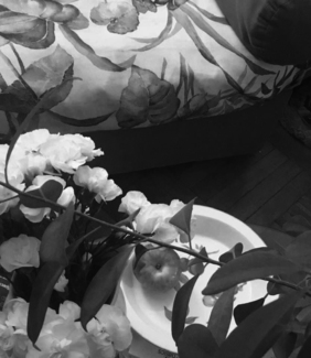 Apple, Flowers, Couch