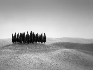 Bella Toscana