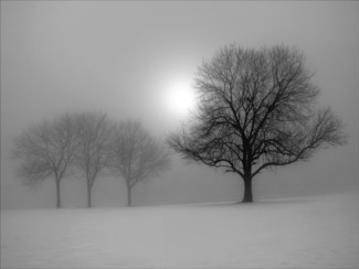 Winter Sun