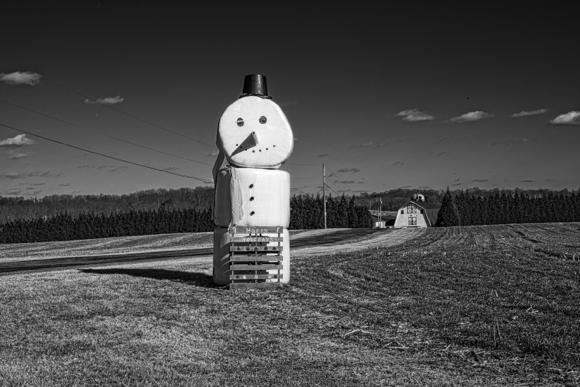 Happy 'Straw' Snowman #1