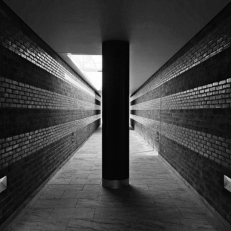 To the Light