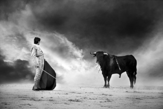 The Bullfight