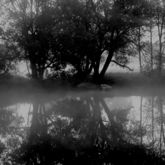 Morning at the River