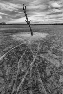 Ice Bound