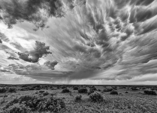 Summer Storm