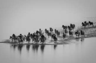 The Crossing