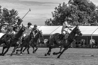 Polo Match