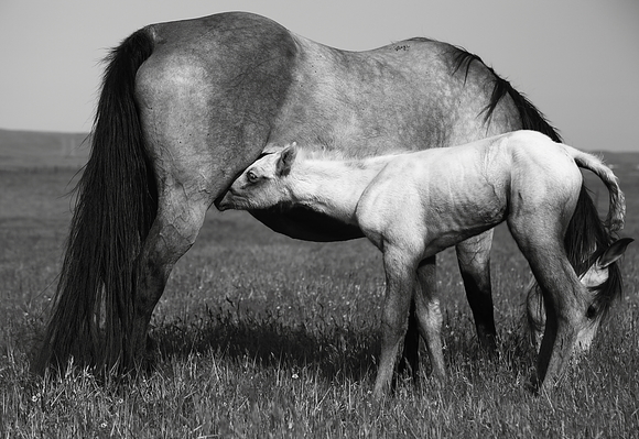 Easter's Newborn Gift