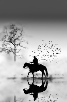 Lone Rider
