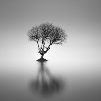 Solitaire