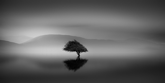 Essence 