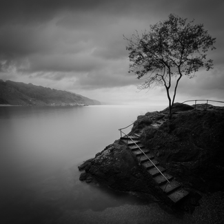 The Path