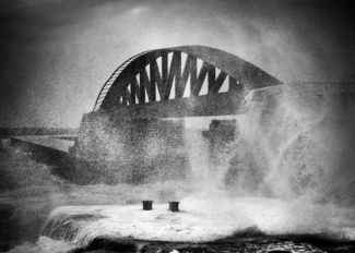 Wild Waves