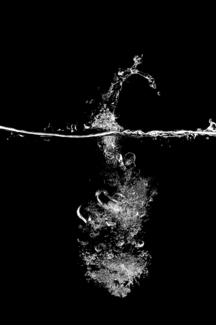 fish water
