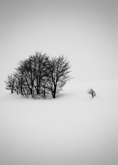 Silent Conversation