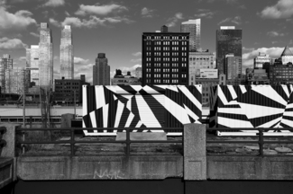 Zebra Skyline