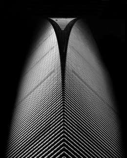 Shanghai 01