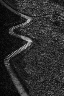 Curves