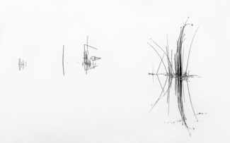 Simplicity (1)