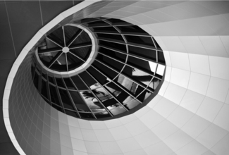 Ovoid