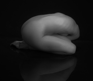 Torso
