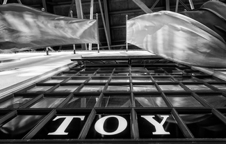 Toy